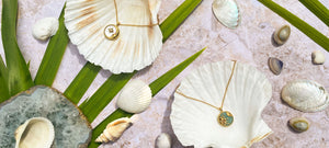 Semi precious sun and moon coin necklaces on shells surrounded by palm leaves